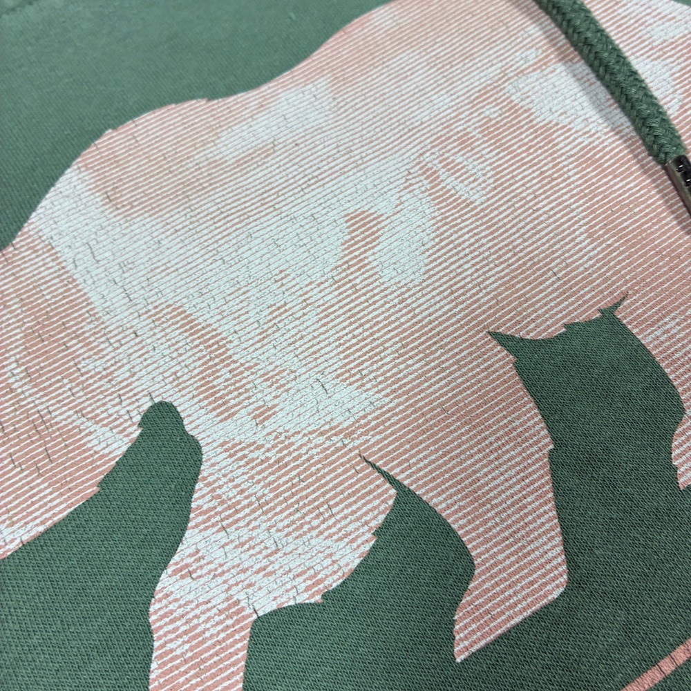 The North Face Womens Bear Graphic Hoodie Size‎ L Sage Green Cabincore Granola - Picture 5 of 10